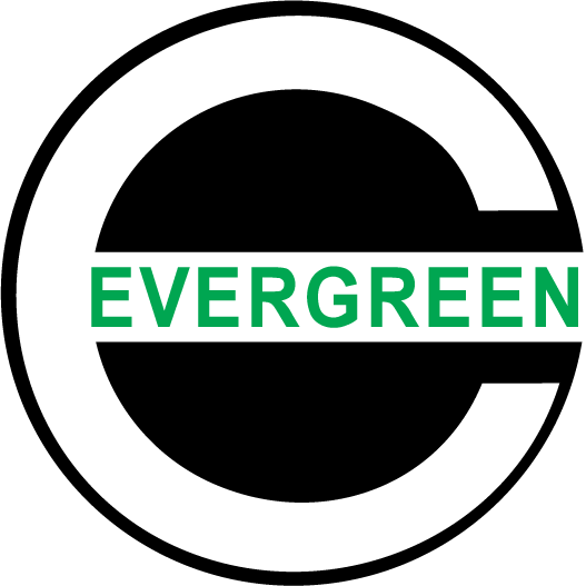 Evergreen